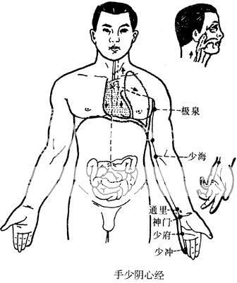 六 手太阳小肠经